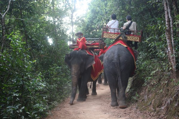 Elephant Path to Phnom Bakheng