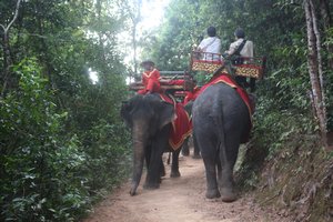 Elephant Path to Phnom Bakheng