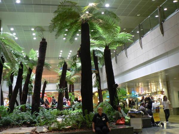 Tropical Garden in the Terminal at Changi