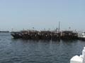 Traditional Fishing Dhows