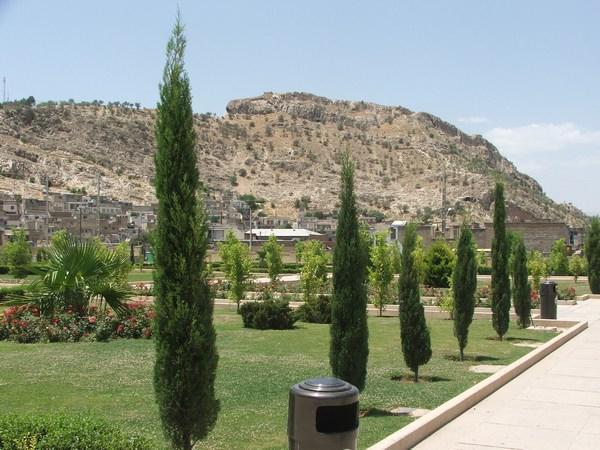 Gardens in Shiraz