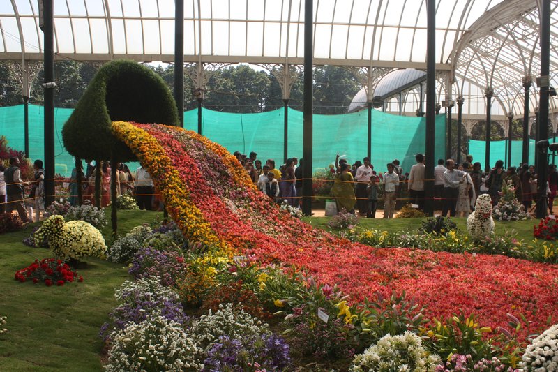 Lalbagh Gardens flower show