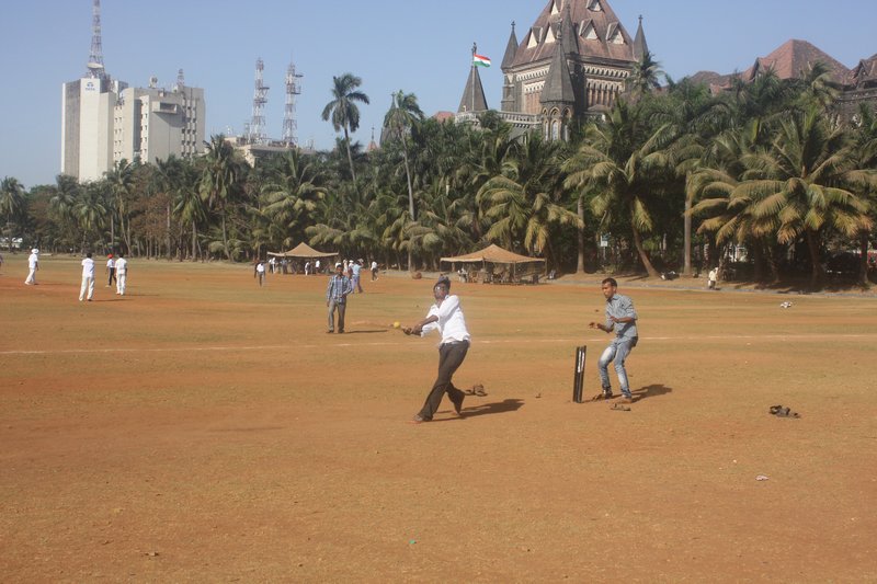 Cricket dominates the Oval Maidan
