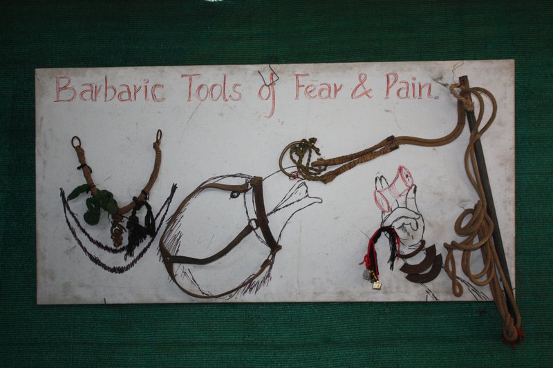 Some of the torture implements used on the captive bears