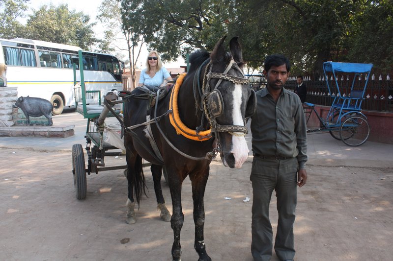 The horse and cart that carried us through the park