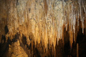 Stalactites hanging from the ceiling
