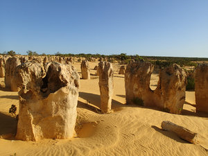 The wind blows the sand away from the base of some formations