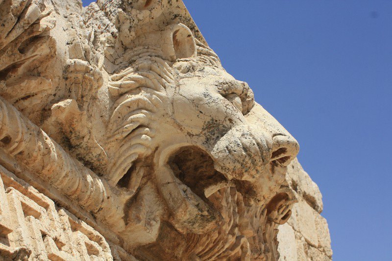 This lion head gargoyle drained water from a wooden roof