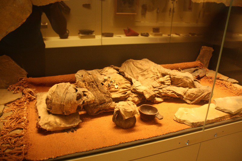 A mummy from Siberia