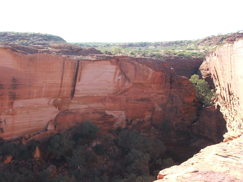 Looking across the canyon
