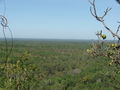 View from the top of Wangi Falls