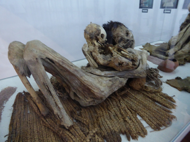 A female mummy and Child both eviscerated