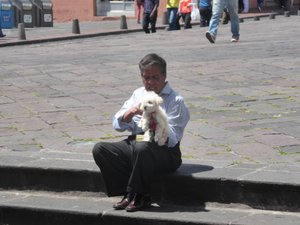 A man brushes his dog