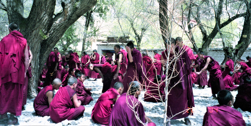 Monks practice there debating skills