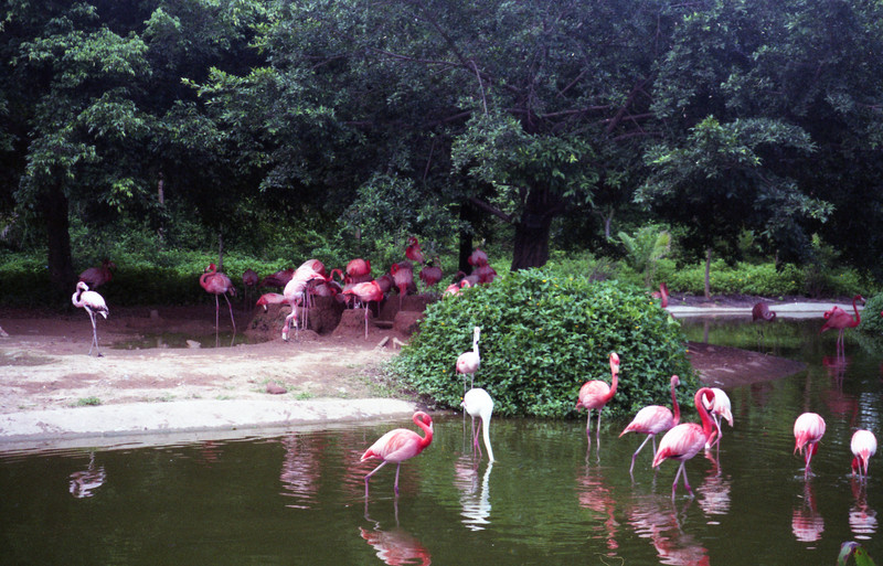 Guanzhou Zoo