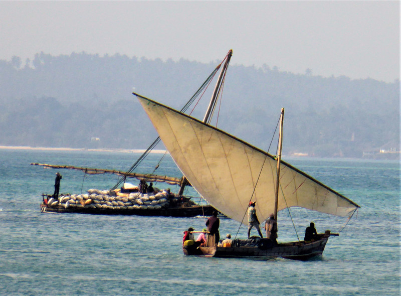 Traditional dhows