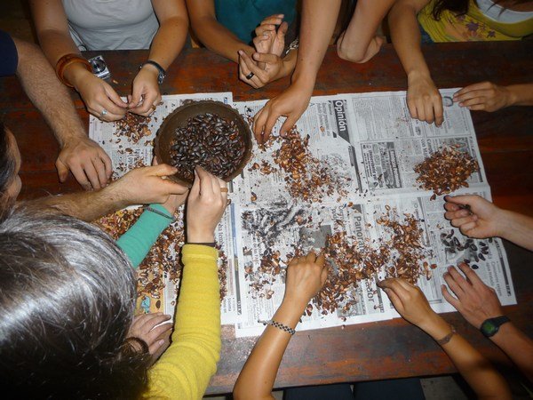 shelling roasted cacao beans to make CHOCOLATE