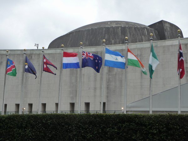 the NZ flag at the UN