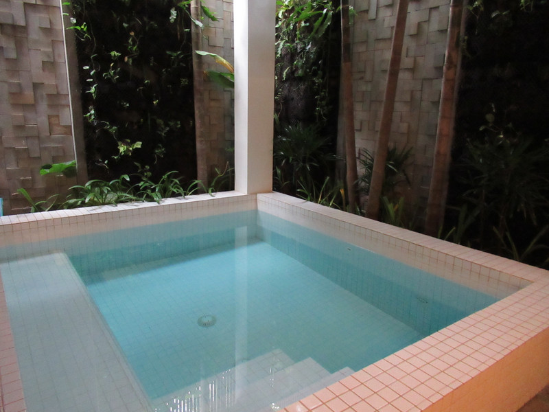 Private plunge pool 