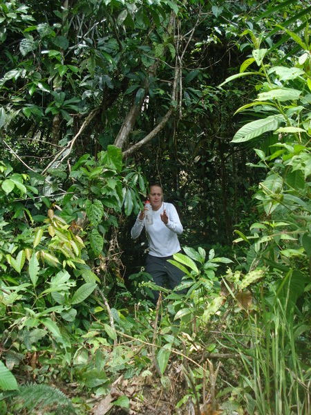 Lindsay emerging from Jungle