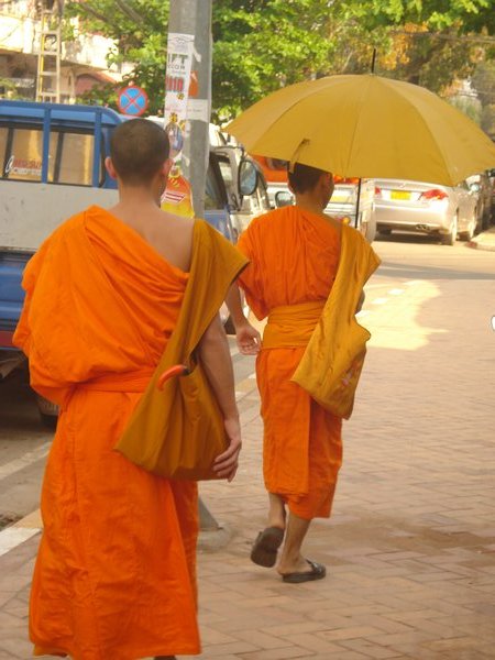 Monk with matching umbrella