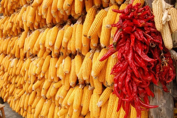 Corn and Chilies