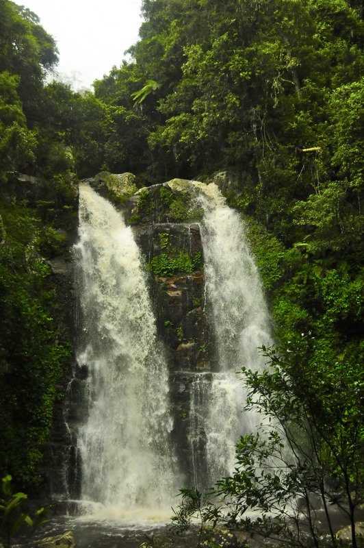 Minnamurra Falls
