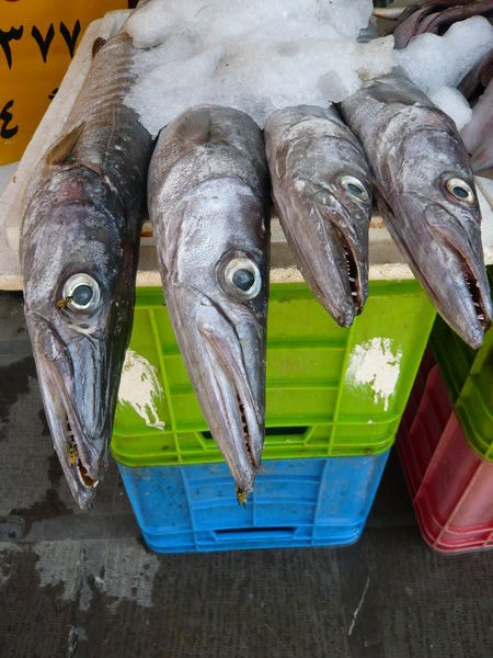 Bazar fish