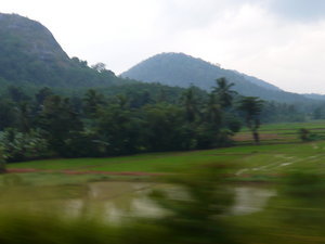 Low land view on the way to Kandy