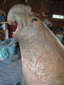Bull Elephant Seal Sculpture