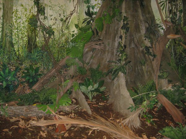 rainforest diorama 1