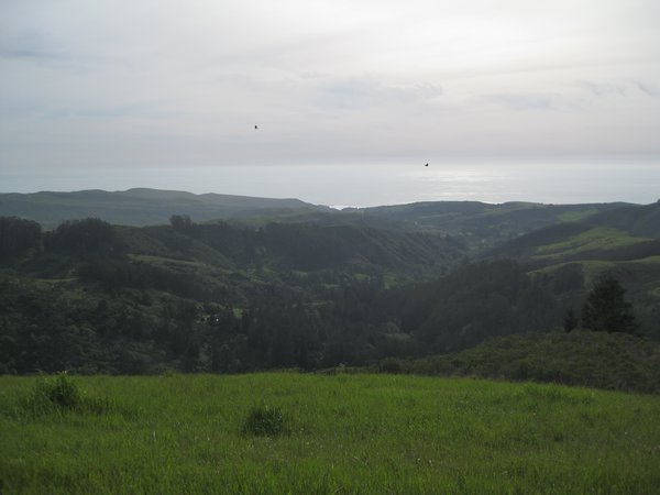 rolling hills wonder into the Pacific
