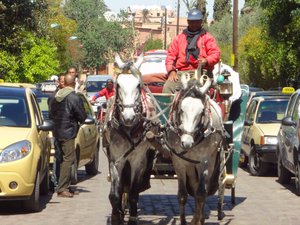 Horse drawn carriage on the streets of Marrakesh