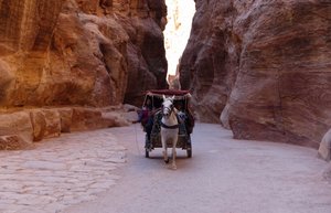 Hiking Into Petra