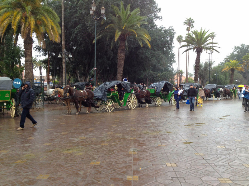 Horse Drawn Carriages in Marrakesh