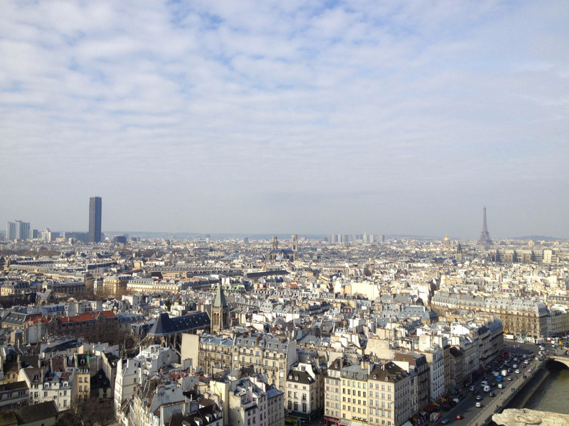 From Atop Notre Dame