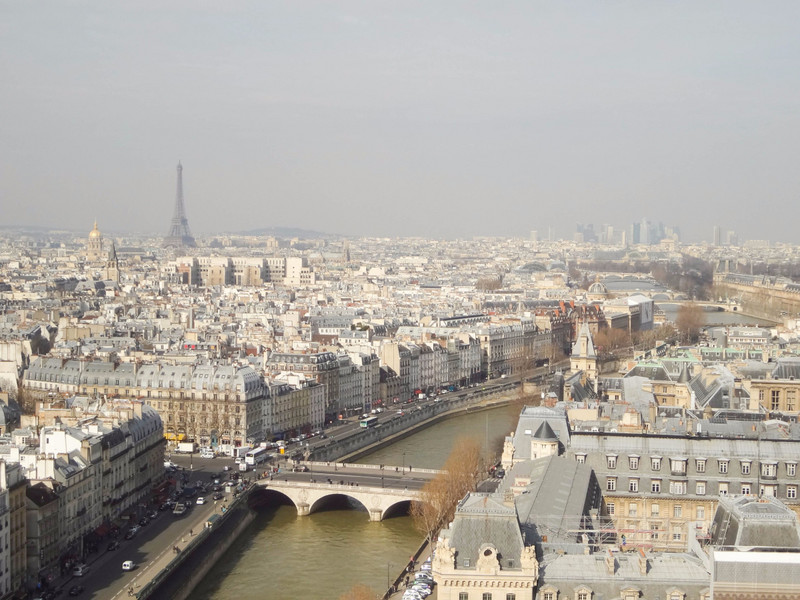 From Atop Notre Dame