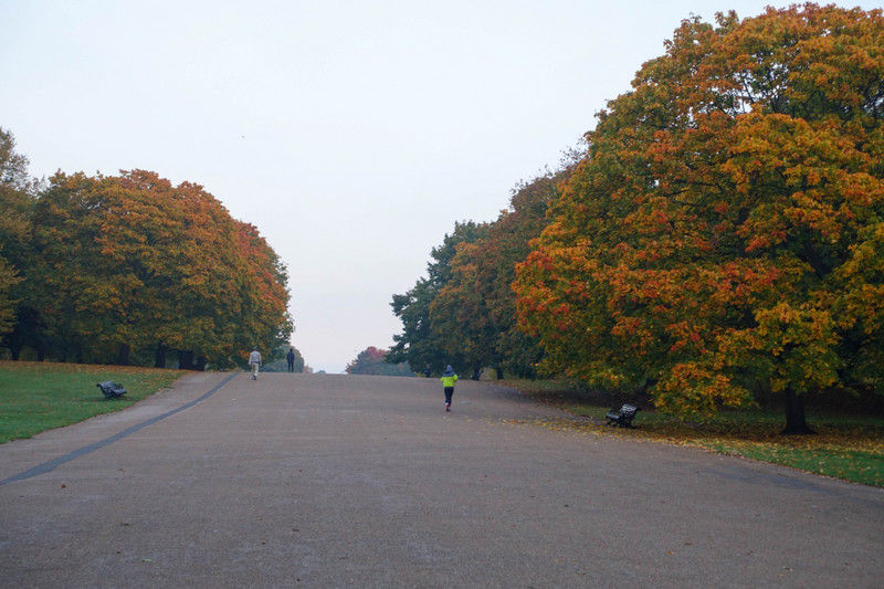 The Fall Colors in Kensington Gardens