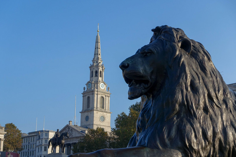 One of the Lions of Trafalgar Square