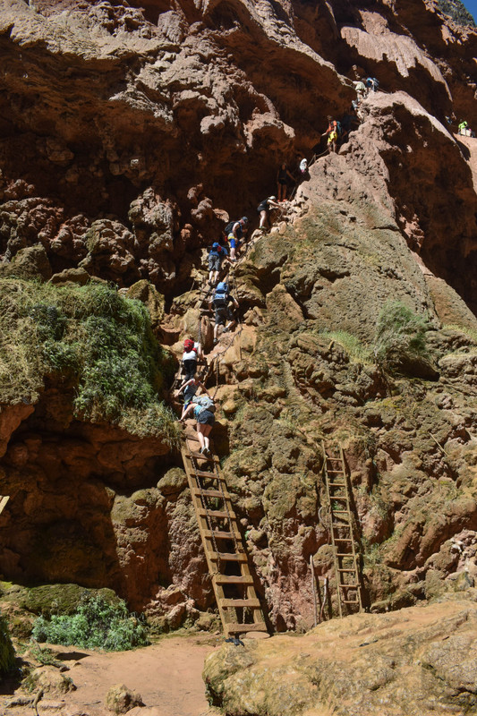 The Ladders at Mooney Falls