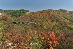 Fall Foliage in Veliko Tarnovo