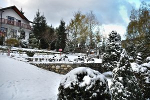 The Grounds of our Hotel, Villa Bran