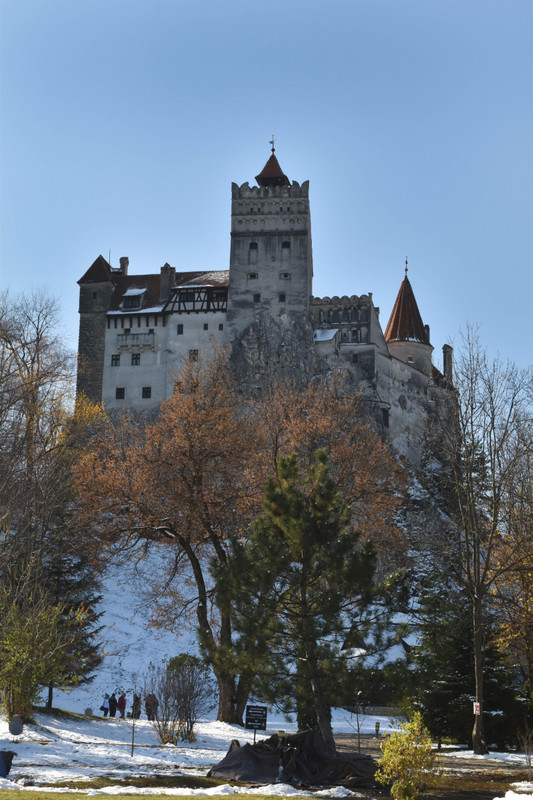 Early Morning at Bran Castle
