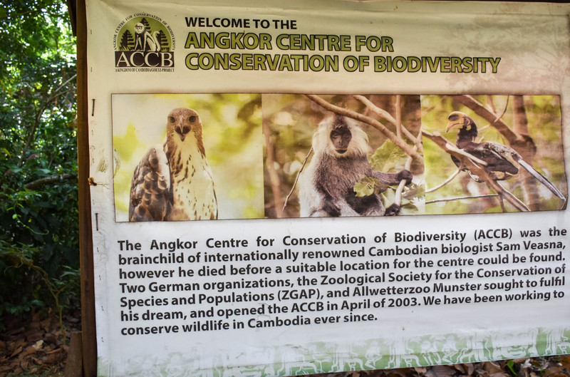 Angkor Centre for Conservation of Biodiversity