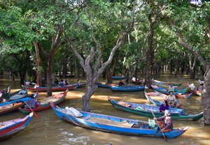 Boats To Take Us Into The Flooded Forest