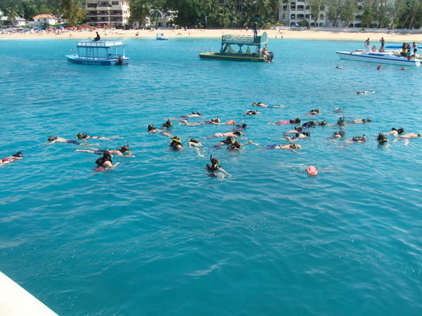 Our group snorkeling