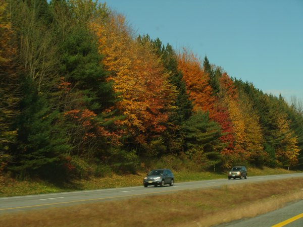 Vermont Colors