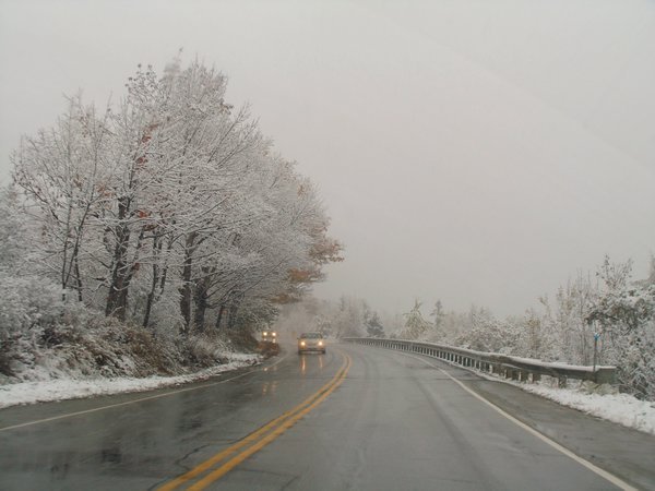 Driving In a Winter Wonderland