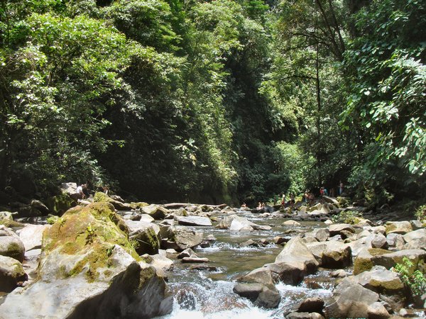 Downstream From The Waterfall
