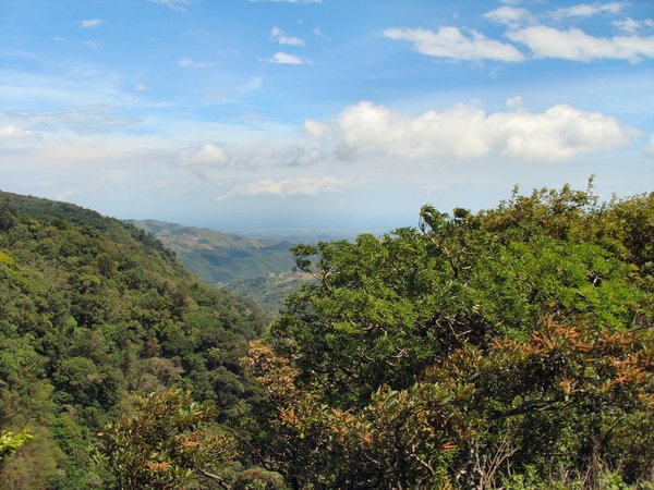 A Sunny Day in Monteverde